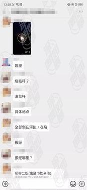如皋网友爆料新闻视频,惊现新闻视频，揭秘事件真相！